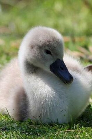 Cover of Cygnet Sweet Baby Swan Bird Journal