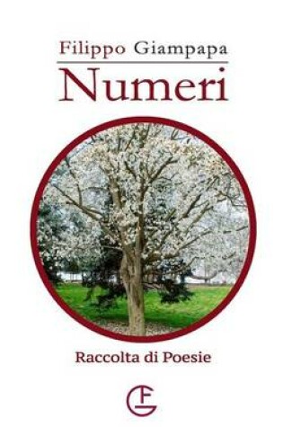 Cover of Numeri