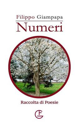 Book cover for Numeri