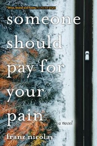 Cover of Someone Should Pay for Your Pain