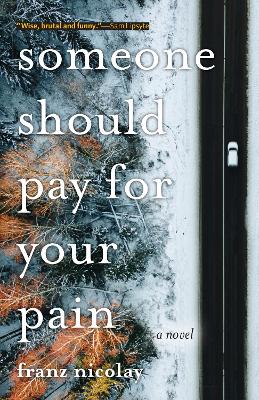 Book cover for Someone Should Pay for Your Pain