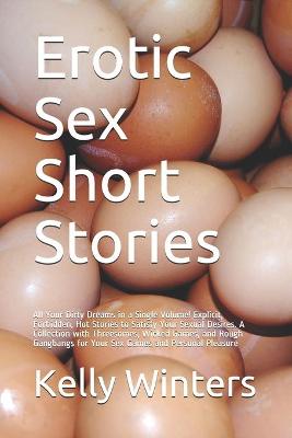 Book cover for Erotic Sex Short Stories