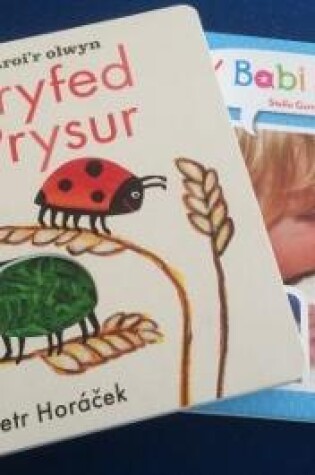 Cover of Pecyn Babi Newydd a Pryfed Prysur