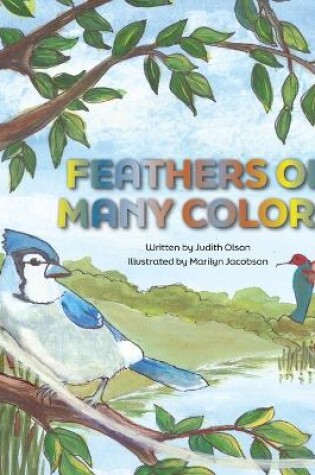 Cover of Feathers of Many Colors