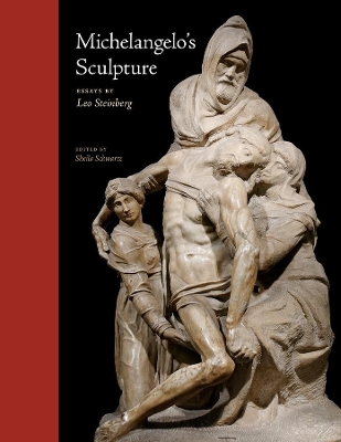 Book cover for Michelangelo's Sculpture