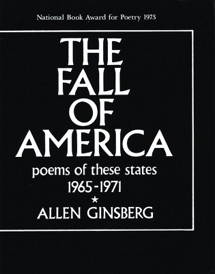 Book cover for The Fall of America