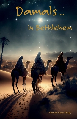 Book cover for Damals ... in Bethlehem