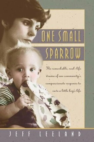 Cover of One Small Sparrow