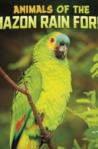 Cover of Animals of the Amazon Rain Forest