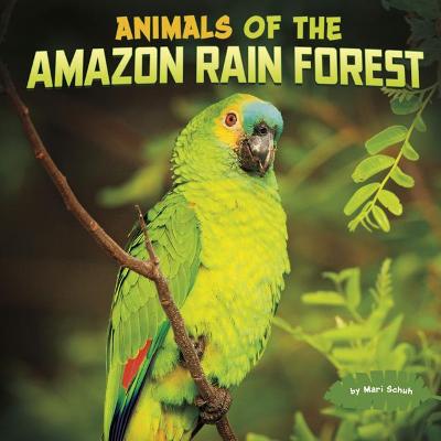 Book cover for Animals of the Amazon Rain Forest