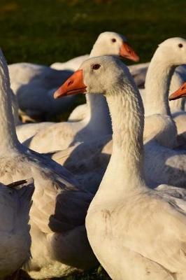 Book cover for A Gaggle of Geese in the Grass Journal