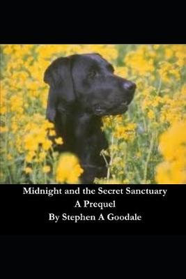 Book cover for Midnight and the Secret Sanctuary
