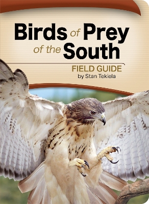 Book cover for Birds of Prey of the South Field Guide