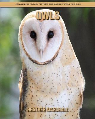 Book cover for Owls