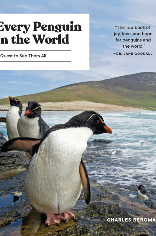 Cover of Every Penguin in the World