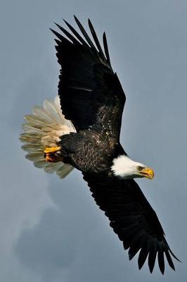 Book cover for Flight of the Bald Eagle Journal