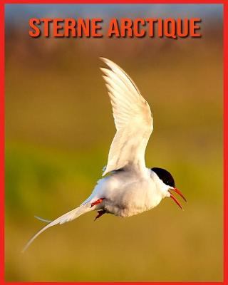 Book cover for Sterne Arctique