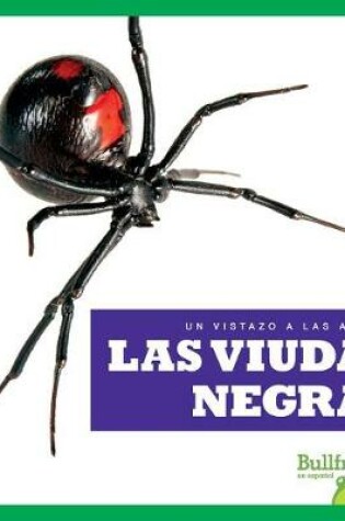 Cover of Las Viudas Negras (Black Widows)