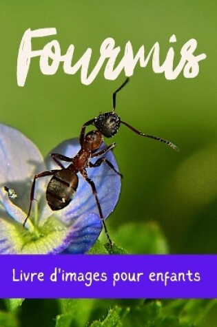 Cover of Fourmis