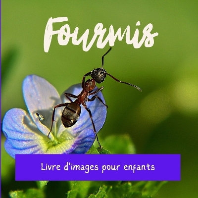 Cover of Fourmis