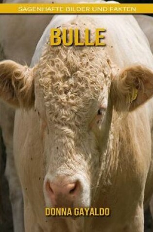 Cover of Bulle