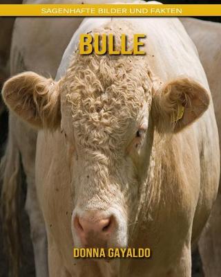 Book cover for Bulle