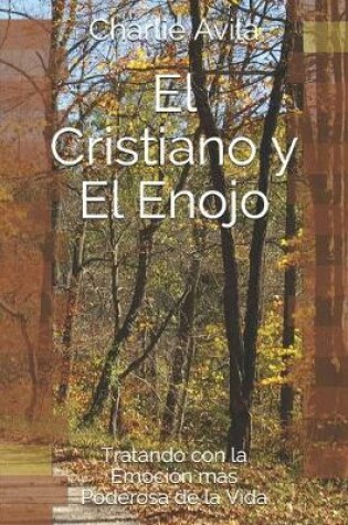 Cover of El Cristiano y El Enojo