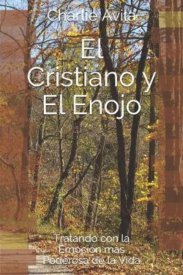 Book cover for El Cristiano y El Enojo