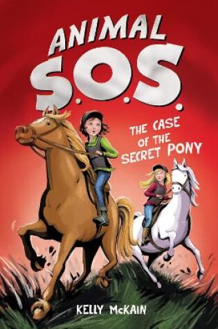 Cover of The Case of the Secret Pony