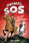 Book cover for The Case of the Secret Pony