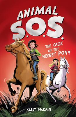 Book cover for The Case of the Secret Pony