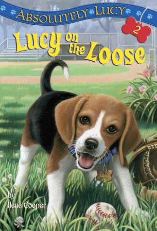 Cover of Absolutely Lucy #2: Lucy on the Loose