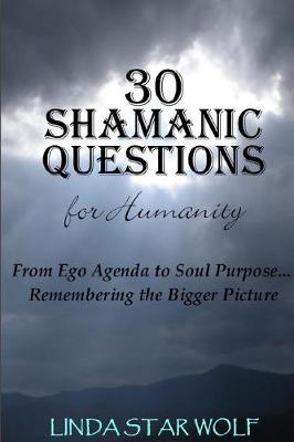 Book cover for The 30 Shamanic Questions for Humanity