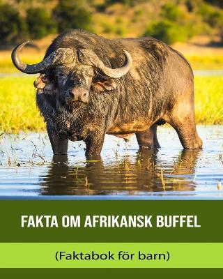 Book cover for Fakta om Afrikansk buffel (Faktabok för barn)