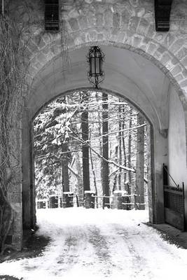 Book cover for Winter Gate Peles Castle Romania Journal