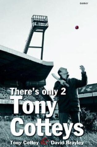 Cover of There's Only 2 Tony Cotteys