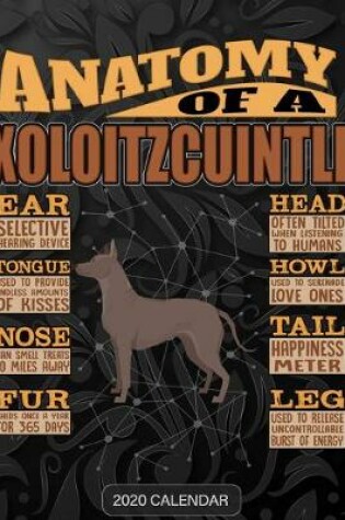 Cover of Anatomy Of A Xoloitzcuintli