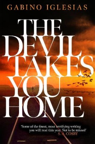 Cover of The Devil Takes You Home
