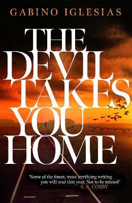 Book cover for The Devil Takes You Home