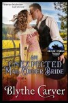 Book cover for An Unexpected Mail Order Bride