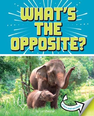 Book cover for What's The Opposite