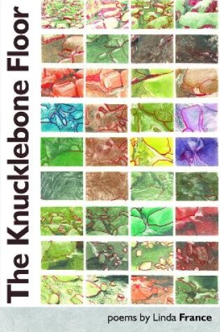 Cover of The Knucklebone Floor