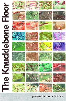 Book cover for The Knucklebone Floor