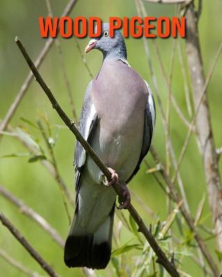 Book cover for Wood Pigeon