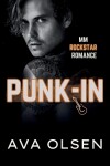 Book cover for Punk-In