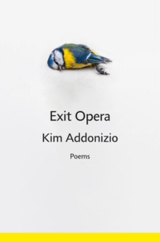 Cover of Exit Opera