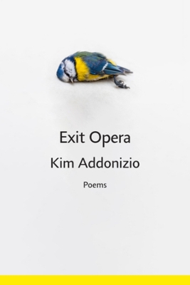 Book cover for Exit Opera