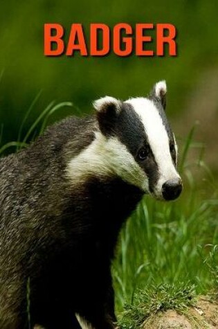 Cover of Badger