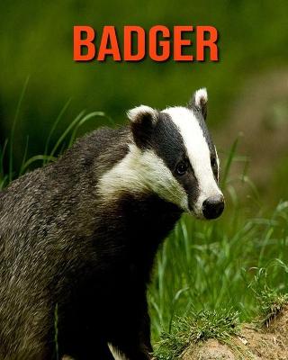 Book cover for Badger