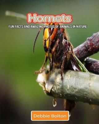 Book cover for Hornets